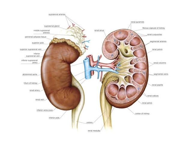 during dialysis complications side effects